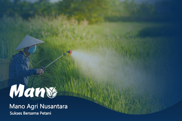 artikel mano agri nusantara (1) rev