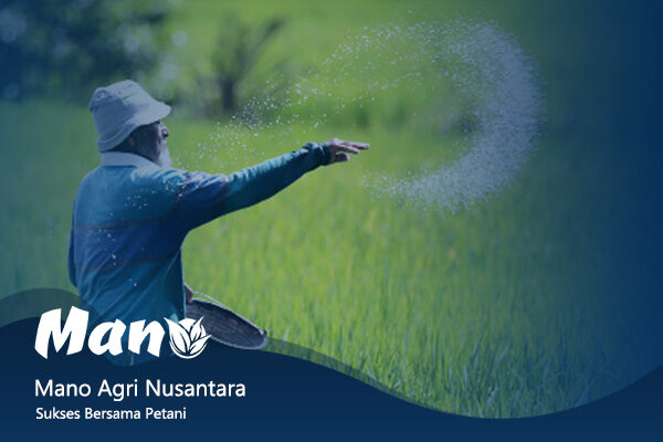 artikel mano agri nusantara (2) rev