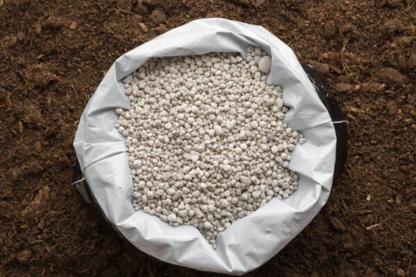 Pupuk Kalsium Meningkatkan kekuatan dan ketahanan tanaman.