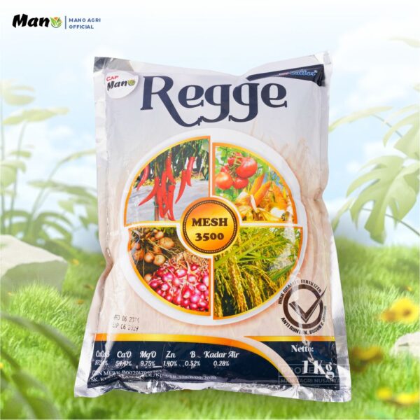 Regge Kalsium 1 KG