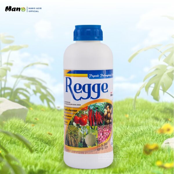 Regge PPC 1 L