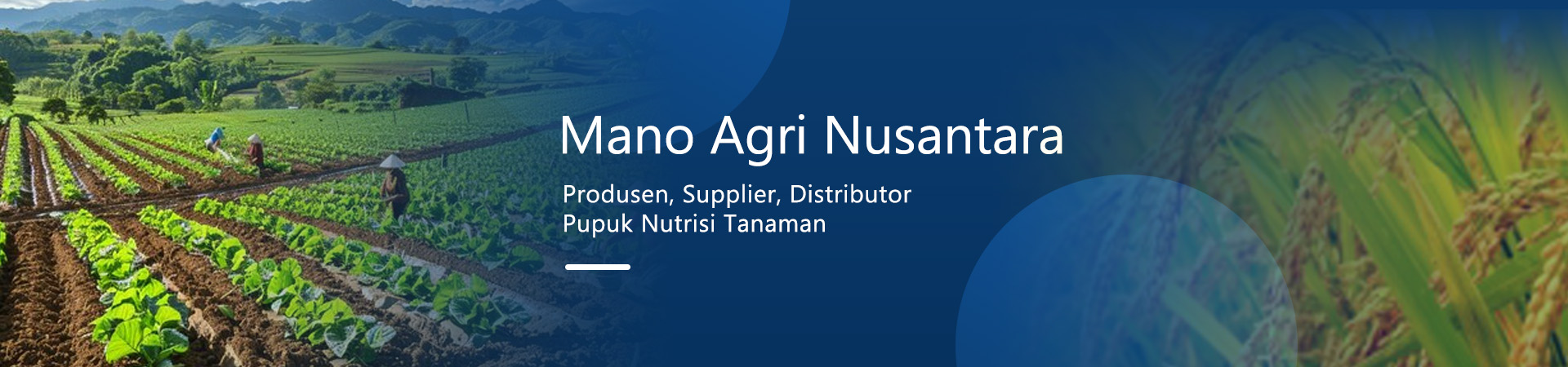 subheader mano agri nusantara rev subheader mano agri nusantara rev