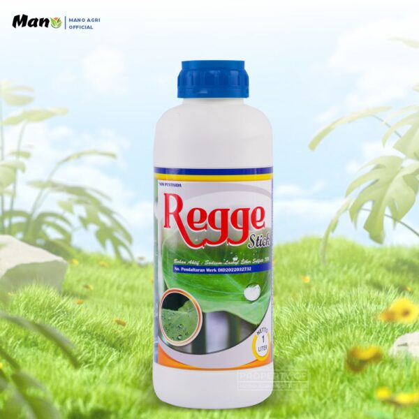 Regge Stick