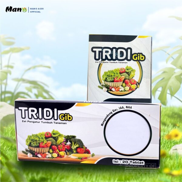 Tridi Gib