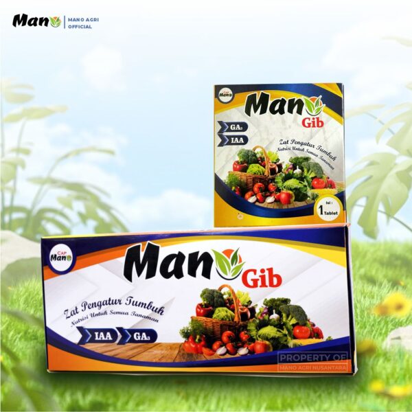 Mano Gib