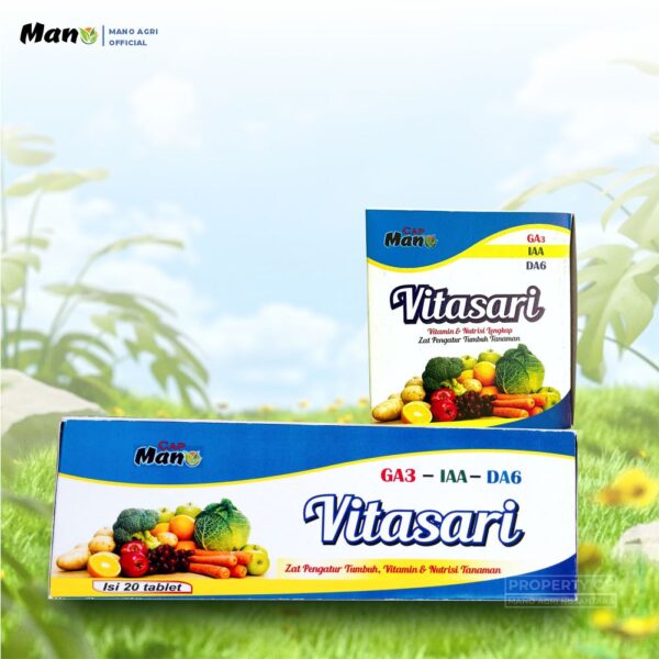 Vita Sari